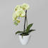 KUNSTBLUME Orchidee - Creme/Grün, LIFESTYLE, Kunststoff/Metall (36cm)
