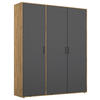 DREHTÜRENSCHRANK 140/194/53 cm 3-türig Grau, Eiche Artisan  - Eiche Artisan/Grau, MODERN, Holzwerkstoff/Kunststoff (140/194/53cm) - Rauch Möbel