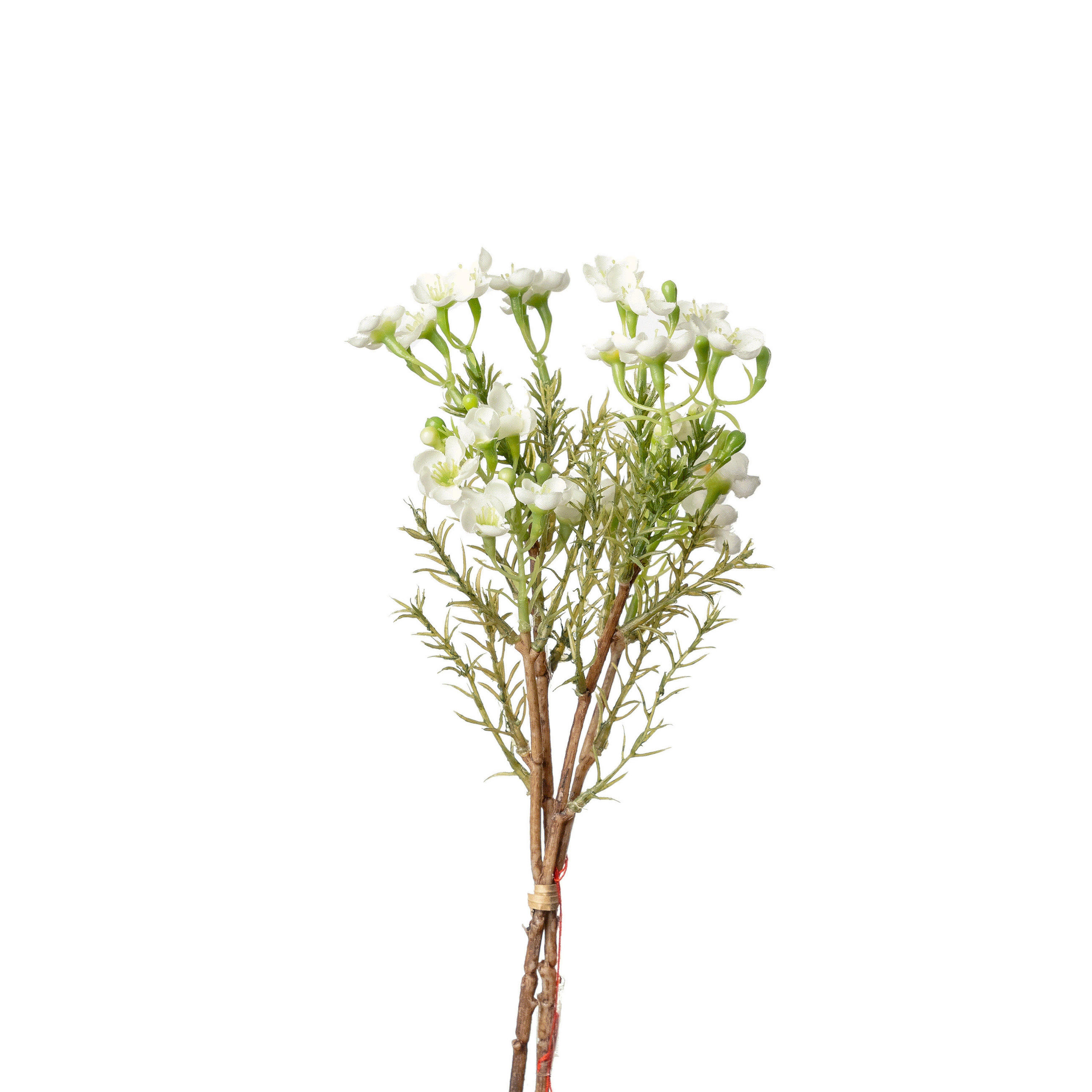 DEKOR GALLY - fehér/zöld, Basics, műanyag/fém (25cm)