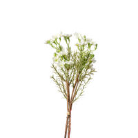 DEKOR GALLY - fehér/zöld, Basics, műanyag/fém (25cm)
