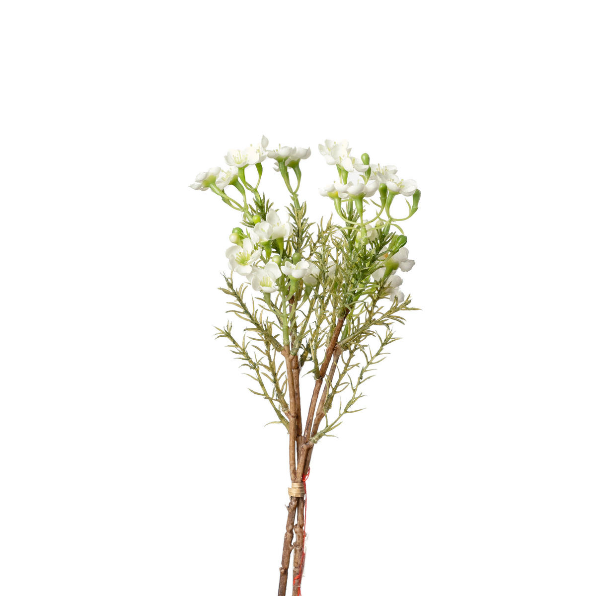 DEKOR GALLY - fehér/zöld, Basics, műanyag/fém (25cm)