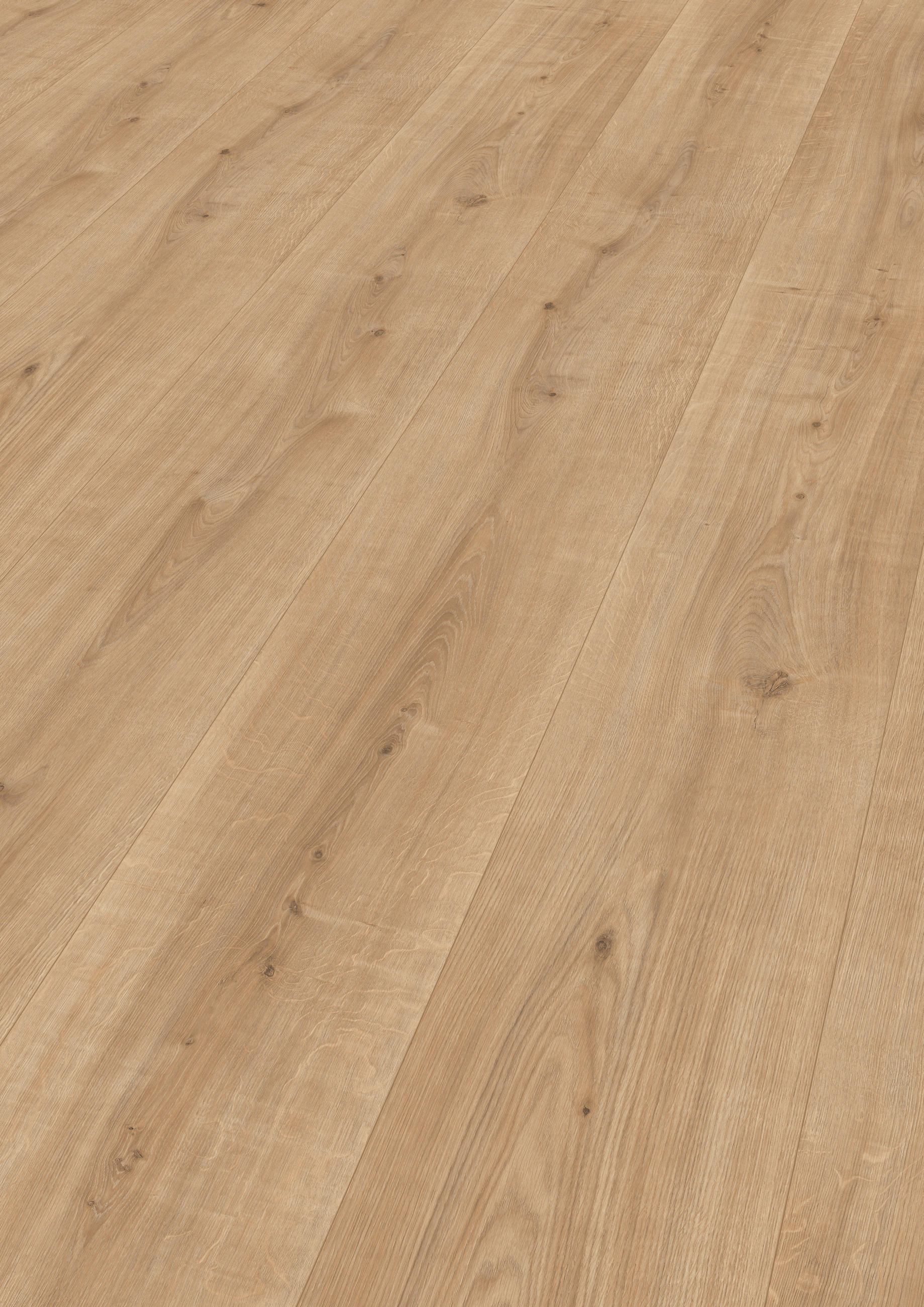 LAMINATBODEN Ortega Eiche  per  m² - KONVENTIONELL, Holzwerkstoff (129,2/32,7/0,8cm) - Venda