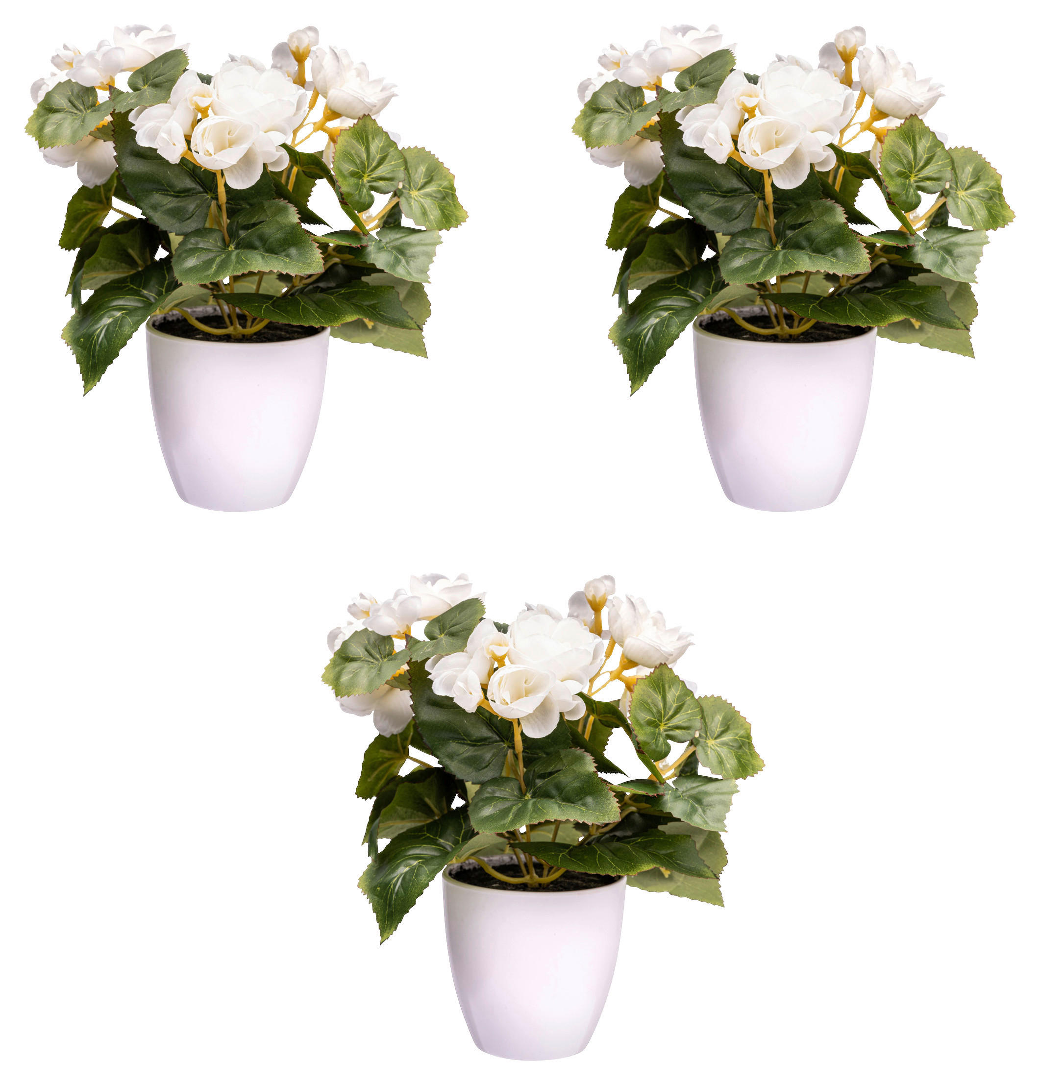 KUNSTPFLANZE 24 cm  - Gelb/Creme, Design, Kunststoff (24cm) - P & B
