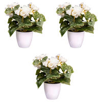 KUNSTPFLANZE 24 cm  - Gelb/Creme, Design, Kunststoff (24cm) - P & B