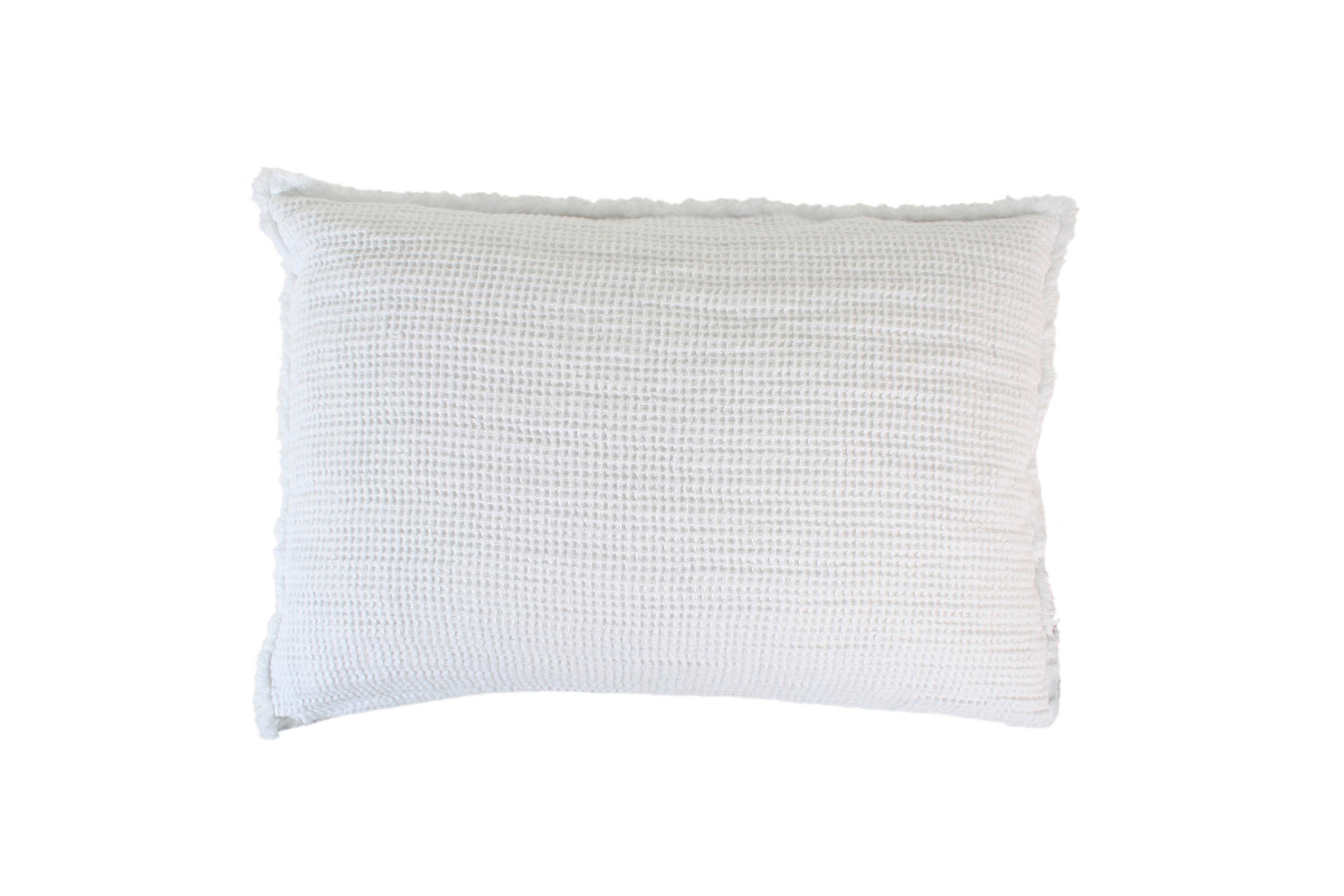 KISSENHÜLLE Honeybee 40/60 cm  - Weiß, KONVENTIONELL, Textil (40/60cm) - Zoeppritz