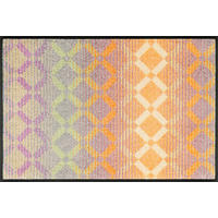 DVEŘNÍ ROHOŽKA, 50/75 cm, vícebarevná - vícebarevná, Konvenční, textil/plast (50/75cm) - wash+dry