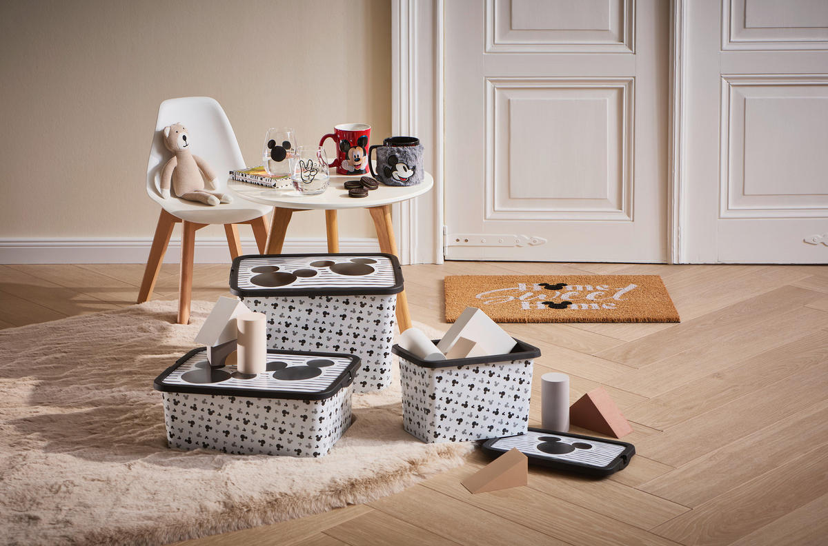 AUFBEWAHRUNGSBOX - Flieder, Basics, Kunststoff (29.5/19.5/19cm) - Disney