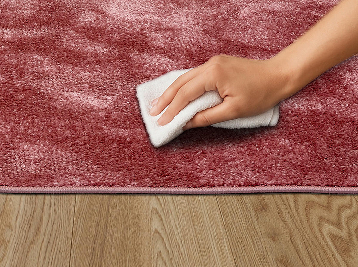WEBTEPPICH  Wohnzimmer 80/150 cm Stevie Altrosa rechteckig  - Altrosa, Basics, Kunststoff (80/150cm) - Astra