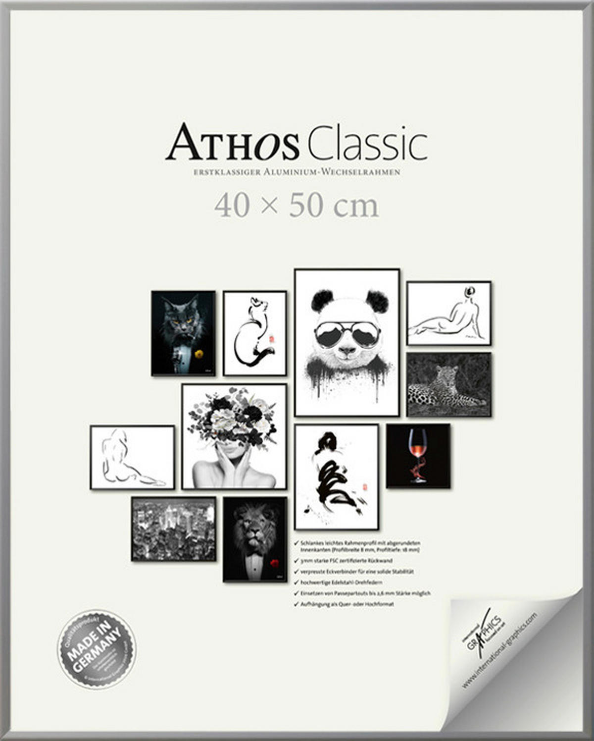 BILDERRAHMEN - Silberfarben, Basics, Papier/Holzwerkstoff (40/50/1,8cm)