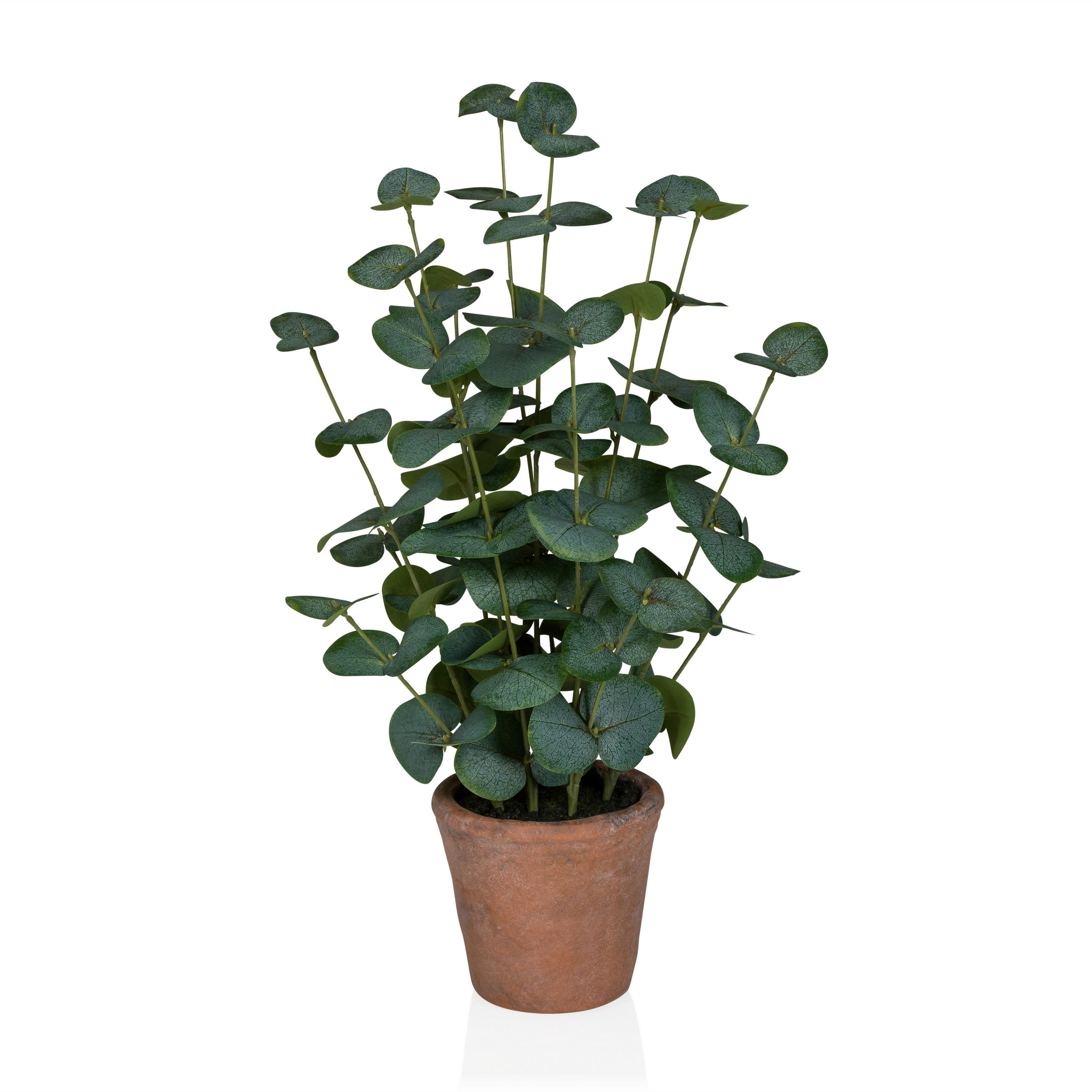 KUNSTPFLANZE Eukalyptus  - Bronzefarben/Grün, MODERN, Kunststoff (20/48/20cm) - MID.YOU