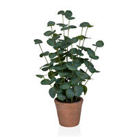 KUNSTPFLANZE Eukalyptus  - Bronzefarben/Grün, MODERN, Kunststoff (20/48/20cm) - MID.YOU