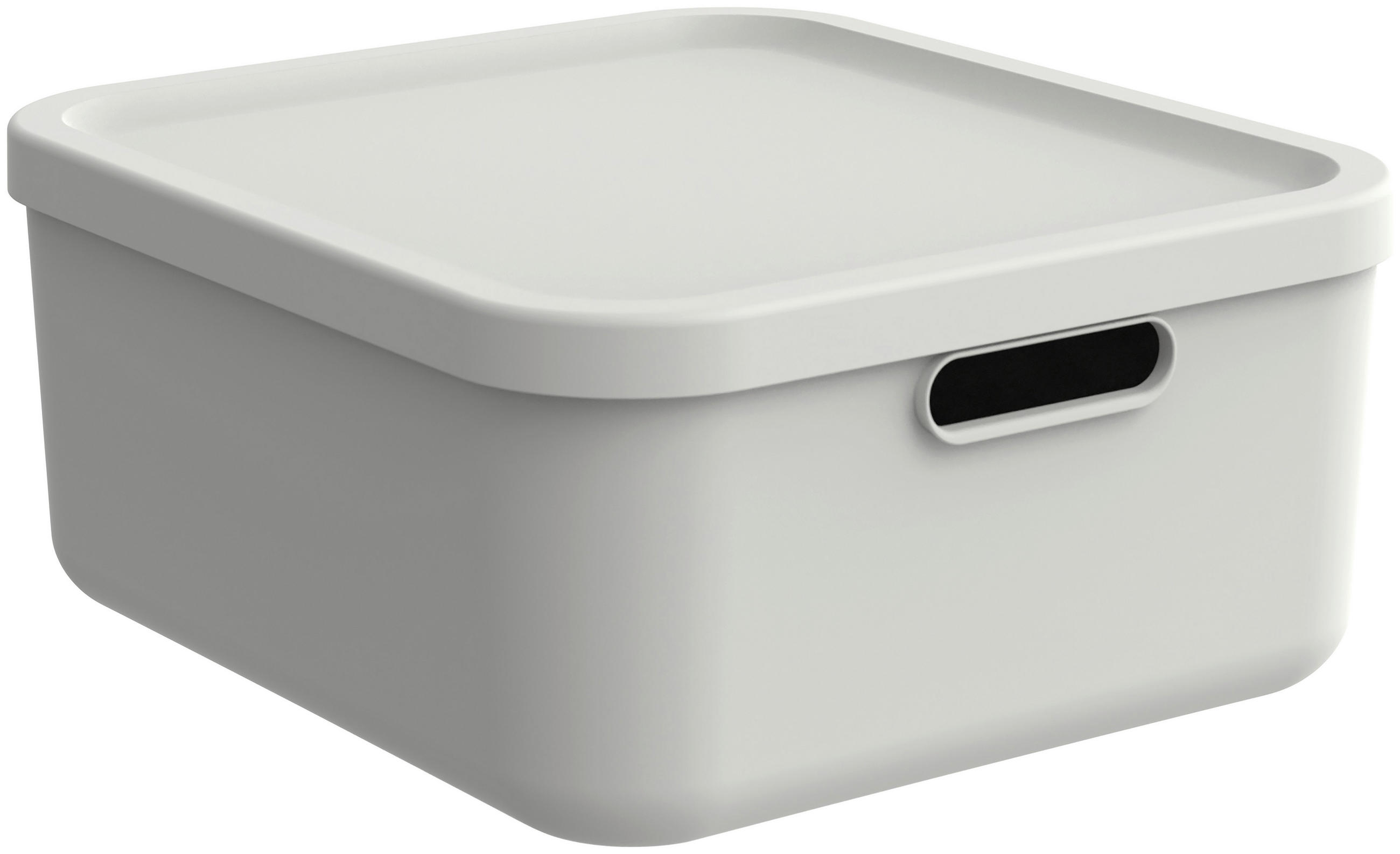 BOX MIT DECKEL    39,5/35,5/17,7 cm  - Weiß, Basics, Kunststoff (39,5/35,5/17,7cm) - Rotho