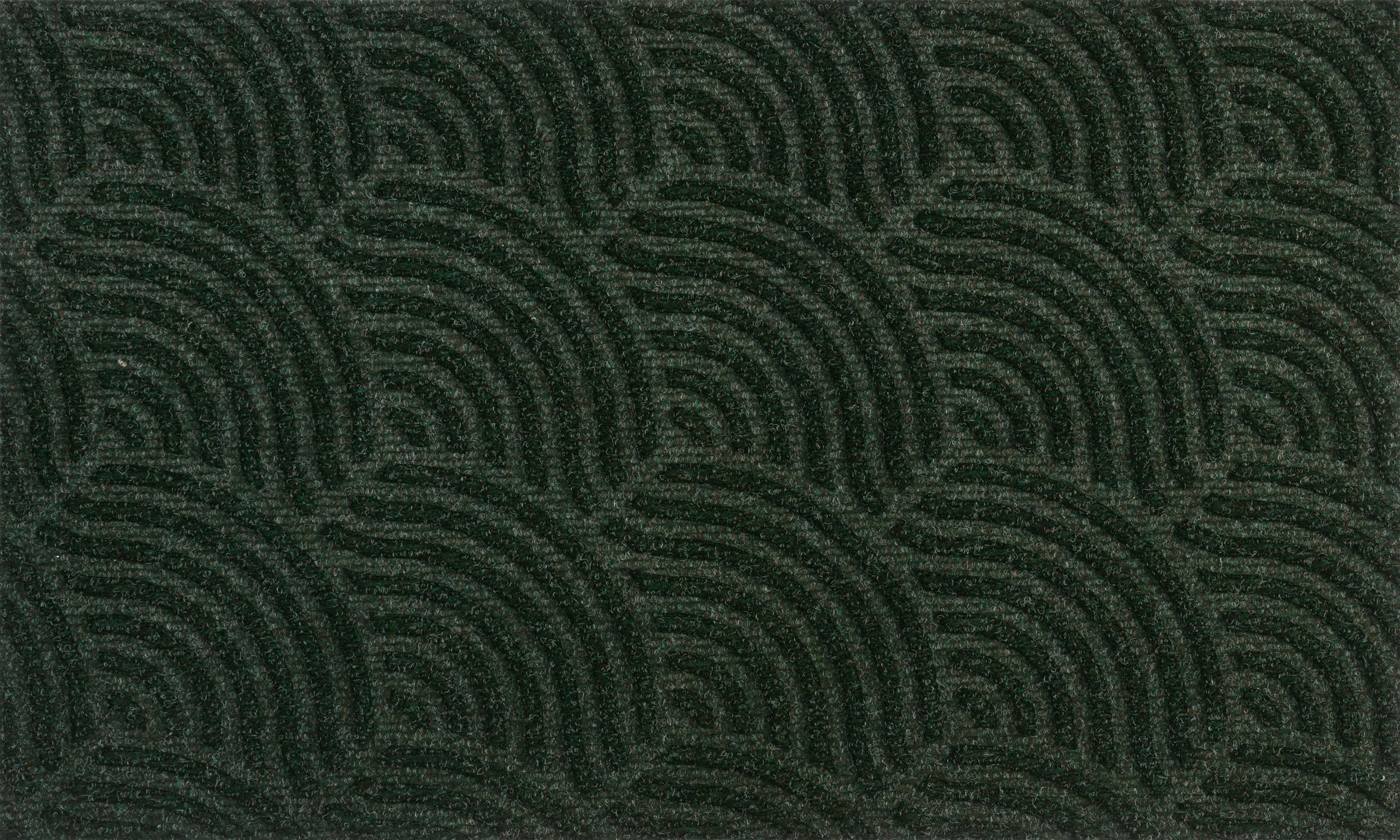 FUßMATTE  45/75 cm  Grün  - Grün, KONVENTIONELL, Kunststoff/Textil (45/75cm) - wash+dry
