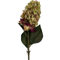 HORTENZIE 72 cm - bordeaux/zelená, Basics, plast (72cm)