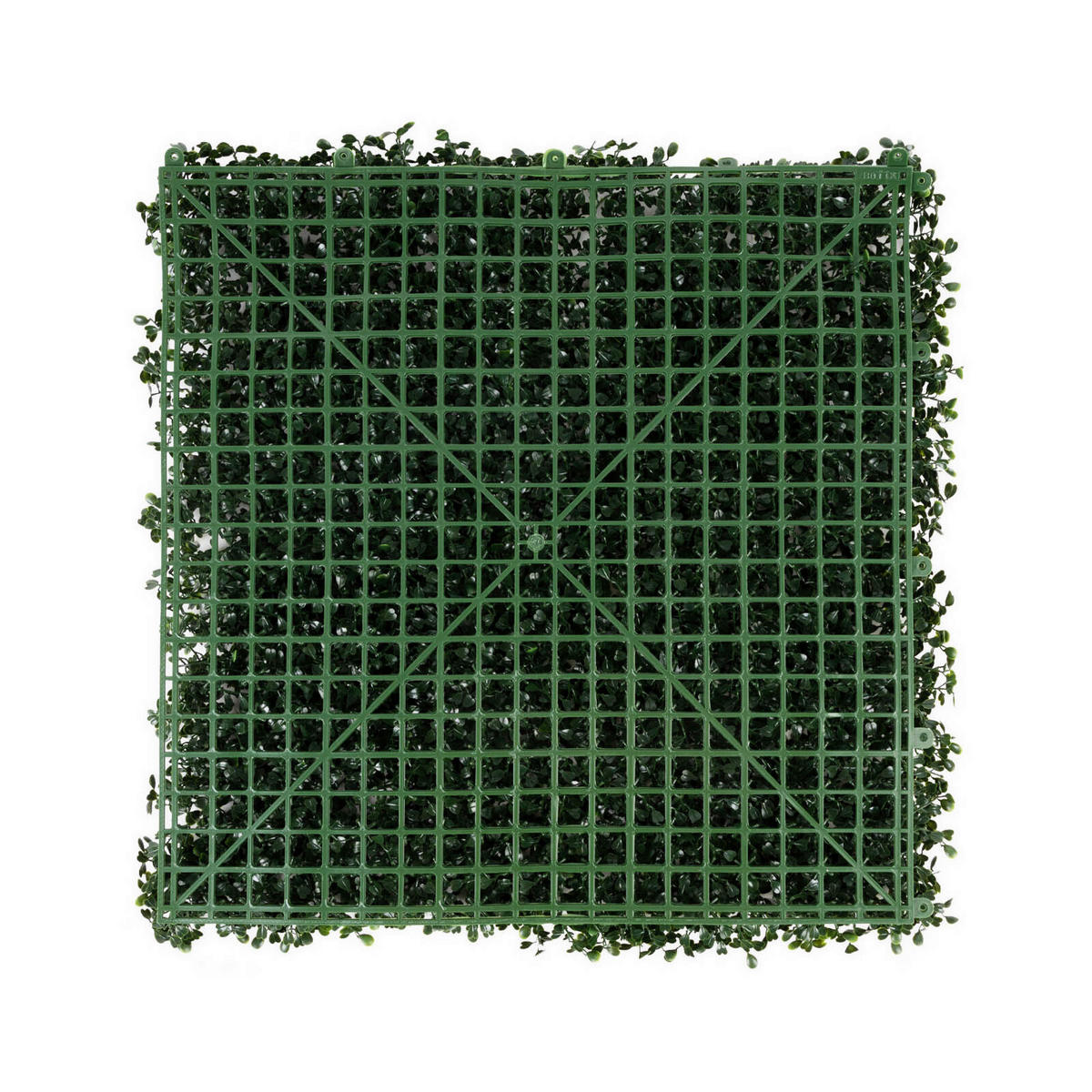 Wandverkleidung Pflanzenwand  Kunststoff  - Jadegrün, Trend, Kunststoff (50/50cm) - Floordirekt