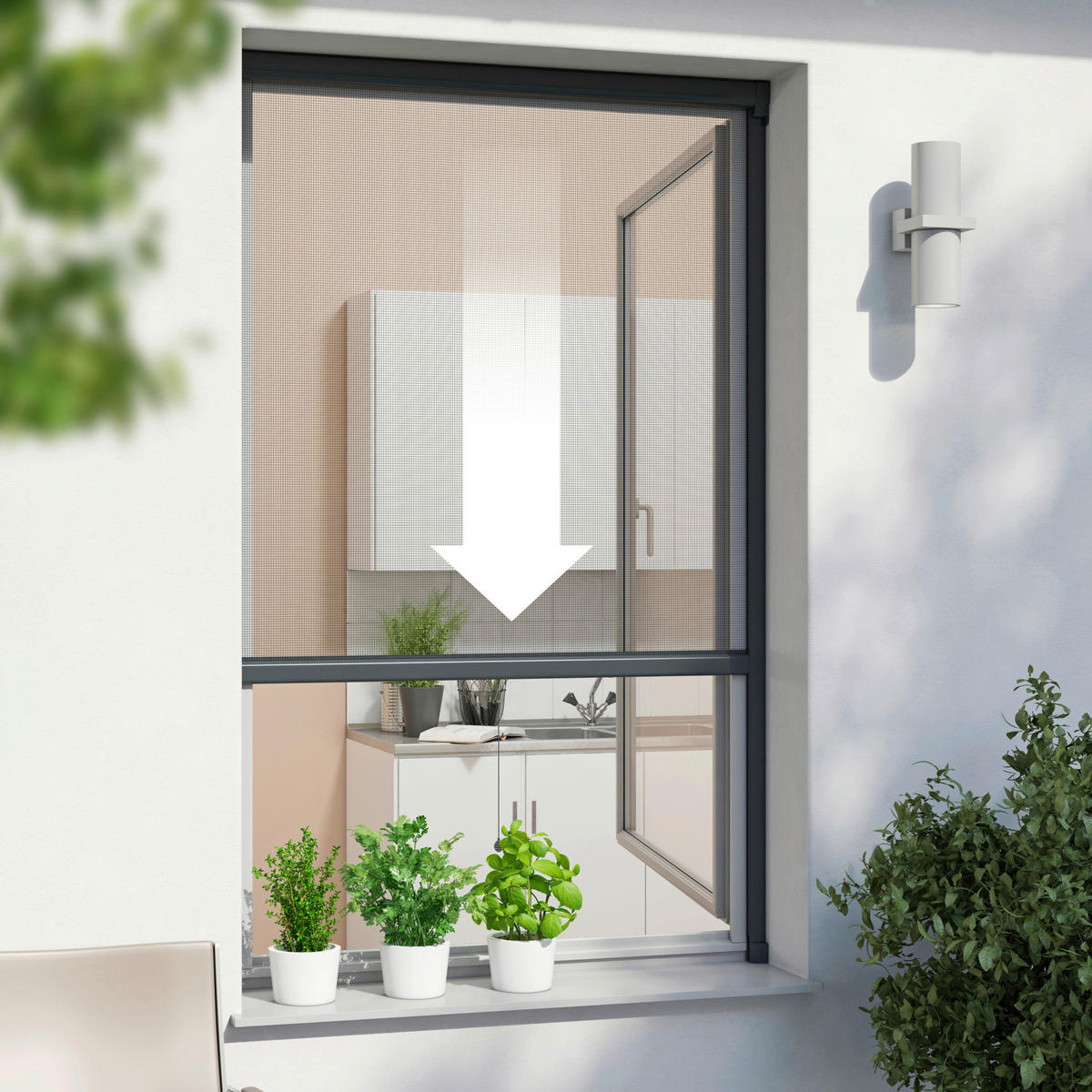 INSEKTENSCHUTZROLLO - Anthrazit, Basics (100/160cm)