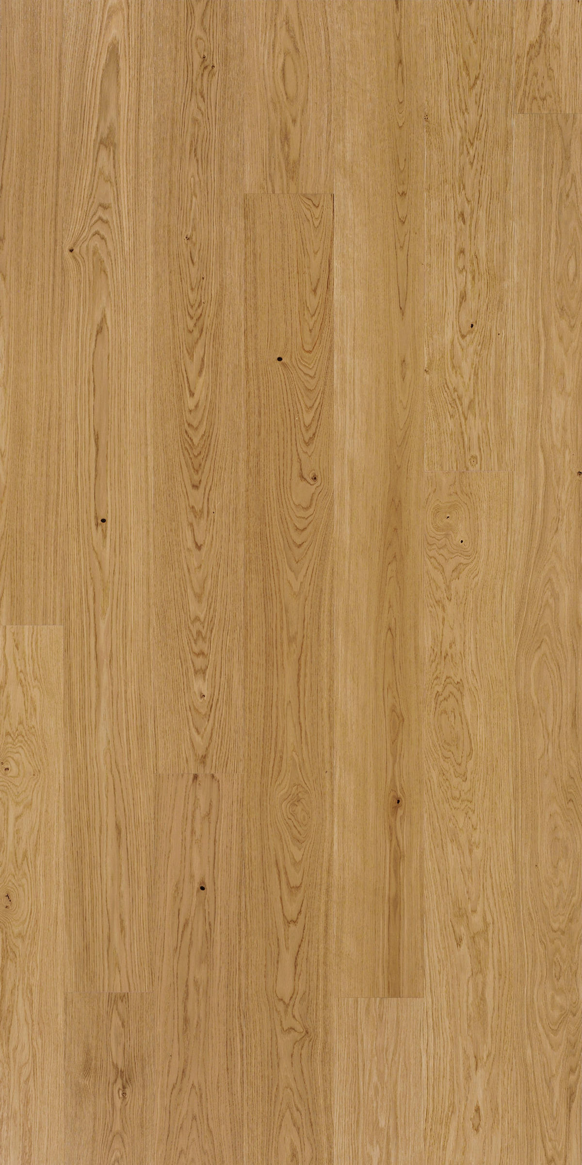 PARKETTBODEN CLASSIC 3060 1739903  per  m² - Braun, LIFESTYLE, Holz (220/18,5/1,3cm) - Parador