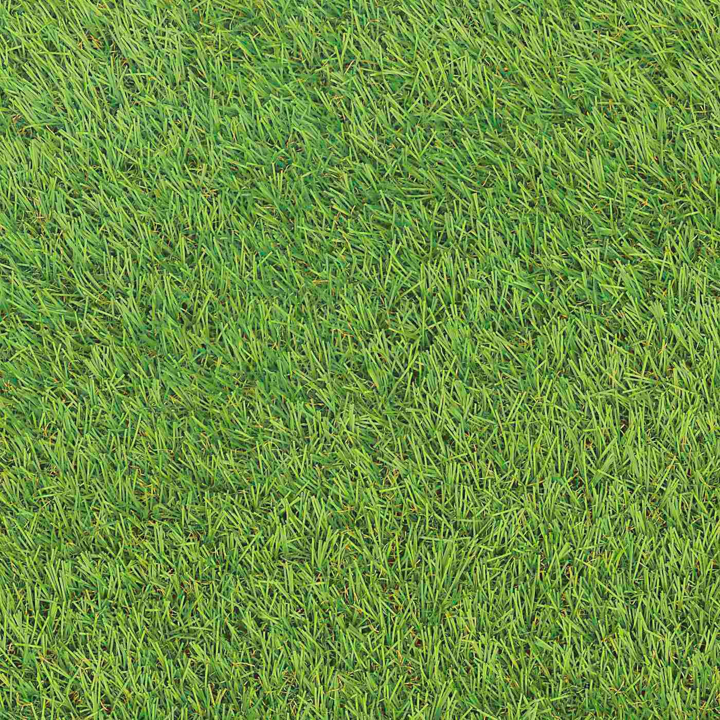 GYEPSZŐNYEG   - Basics, textil (200/400cm) - Boxxx