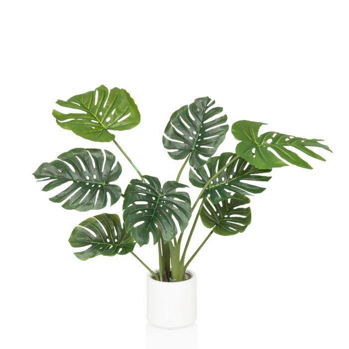 MID.YOU UMĚLÁ ROSTLINA monstera