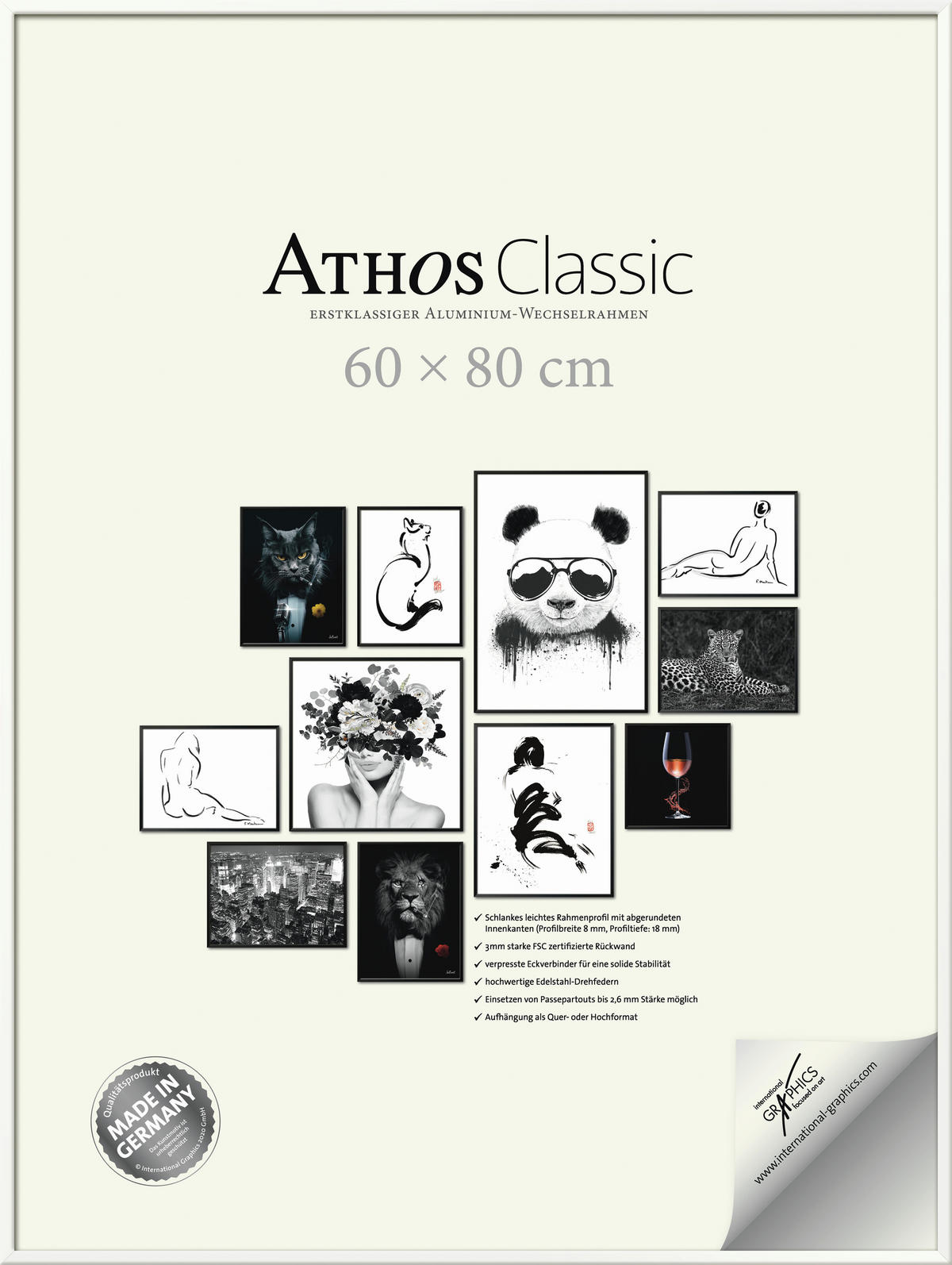 BILDERRAHMEN - Weiß Hochglanz, Basics, Papier/Holzwerkstoff (60/80/1,8cm)