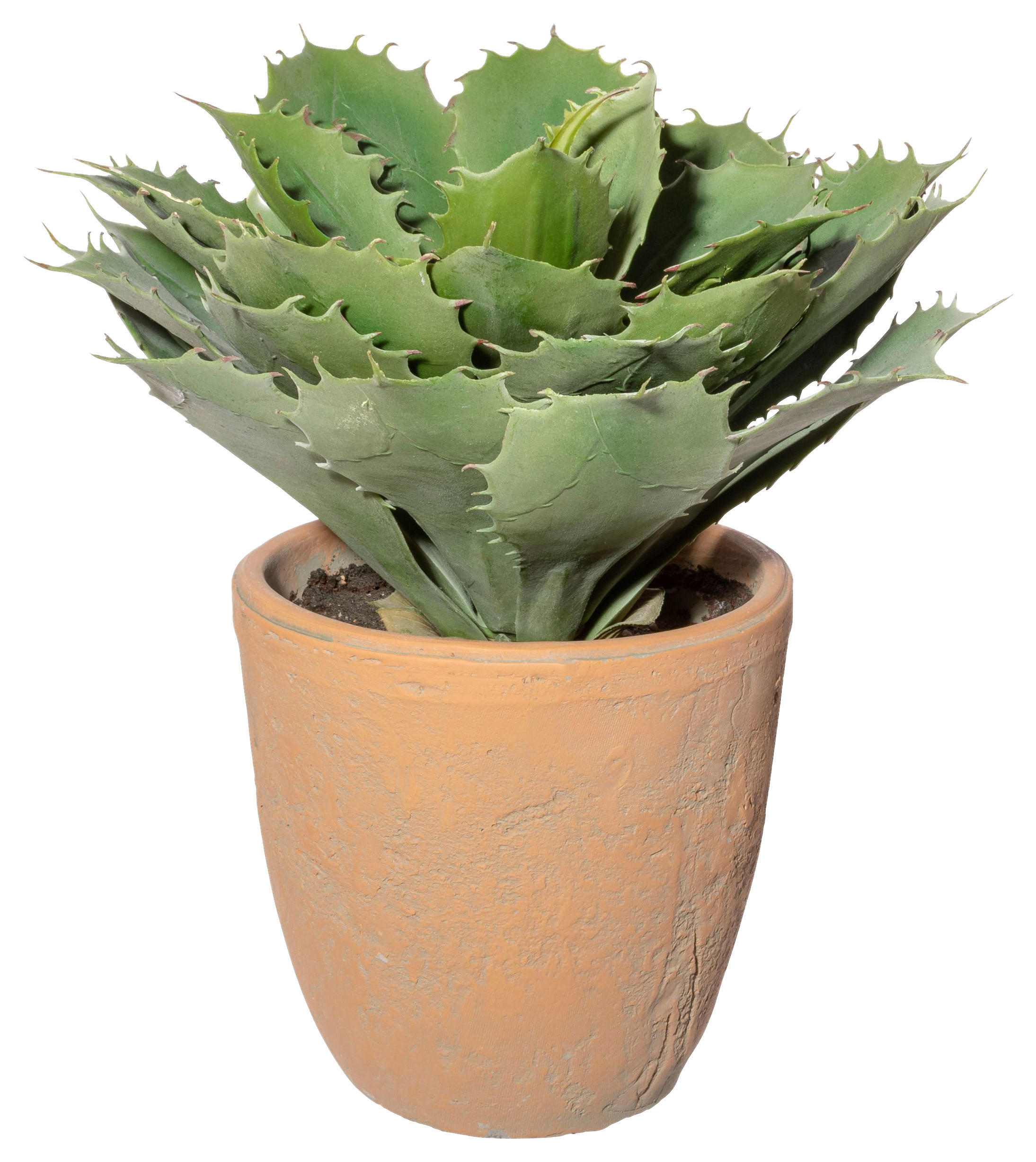 KUNSTPFLANZE Sukkulente 32 cm  - Naturfarben/Grün, Design, Keramik/Kunststoff (32cm) - P & B