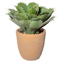 KUNSTPFLANZE Sukkulente 32 cm  - Naturfarben/Grün, Design, Keramik/Kunststoff (32cm) - P & B