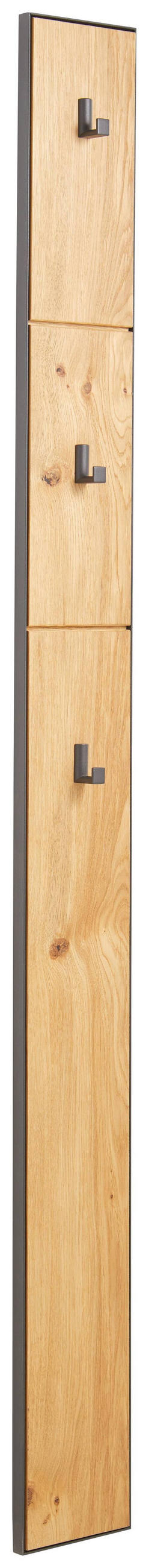 GARDEROBNI PANEL - barve hrasta/antracit, Natur, kovina/les (15/163,5/3,7cm) - Linea Natura