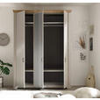 DREHTÜRENSCHRANK  in Champagner, Eiche Artisan  - Champagner/Bronzefarben, LIFESTYLE, Holzwerkstoff/Metall (171/228/60cm) - Landscape