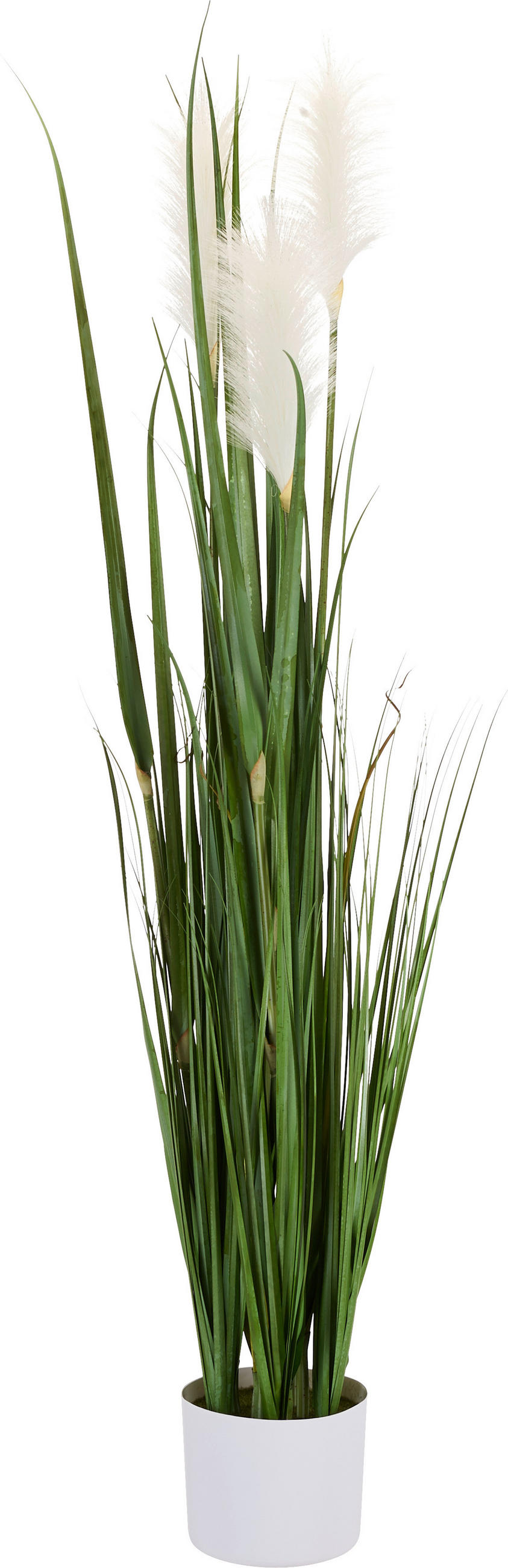 DEKOR FŰ - sötétzöld, Basics, műanyag (120cm) - Ambia Home