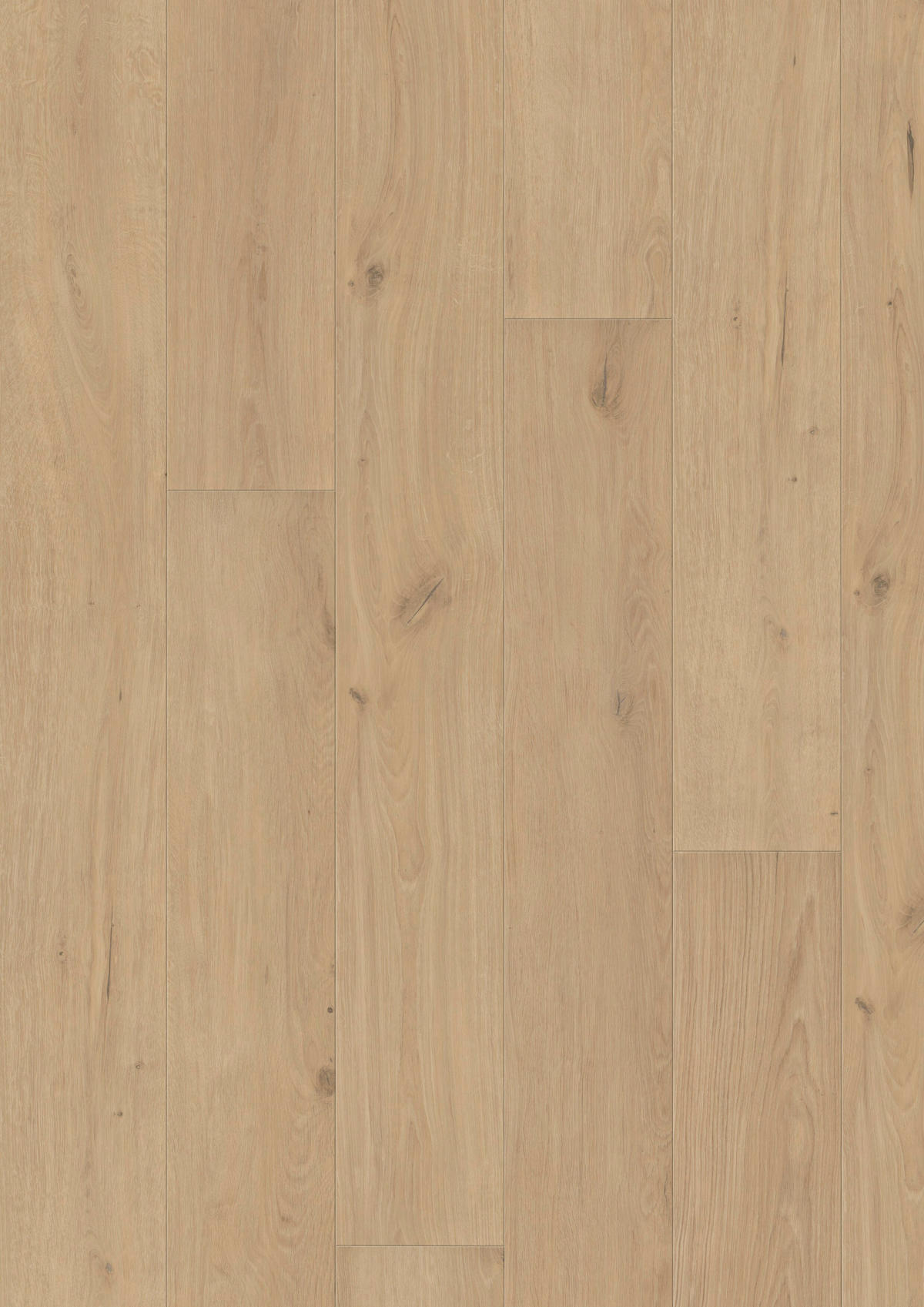 VINYLBODEN Elito Trend Eiche weiss 100005601  per  m² - KONVENTIONELL, Holz (220/21,6/1cm) - Tilo