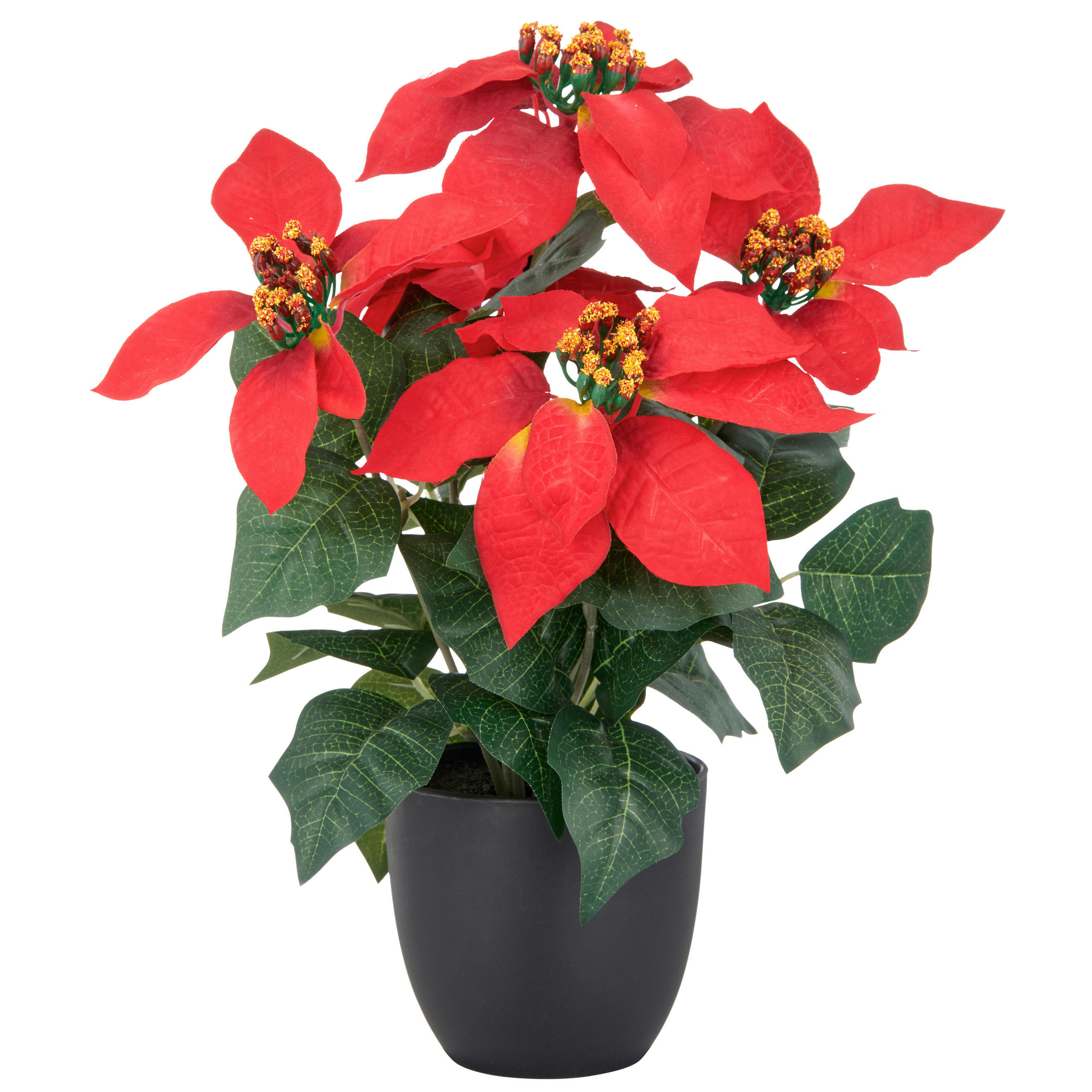 KUNSTPFLANZE 35 cm  - Rot/Schwarz, Basics, Kunststoff (35cm)