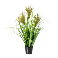 SCHILFGRAS Schilfgras  - Schwarz/Grün, Basics, Kunststoff (60cm) - P & B