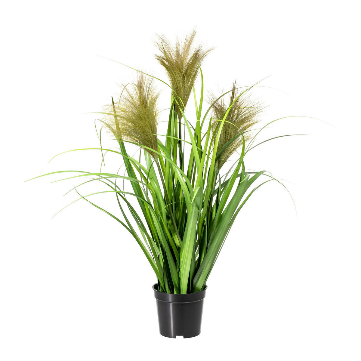 SCHILFGRAS Schilfgras  - Schwarz/Grün, Basics, Kunststoff (60cm) - P & B