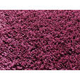 HOCHFLORTEPPICH 200 cm Fashion Shaggy Flieder  - Flieder, Basics, Textil (200cm) - Novel