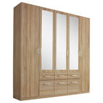 DREHTÜRENSCHRANK 5-türig Sonoma Eiche  - Alufarben/Sonoma Eiche, Basics, Holzwerkstoff/Kunststoff (226/229/54cm) - Xora