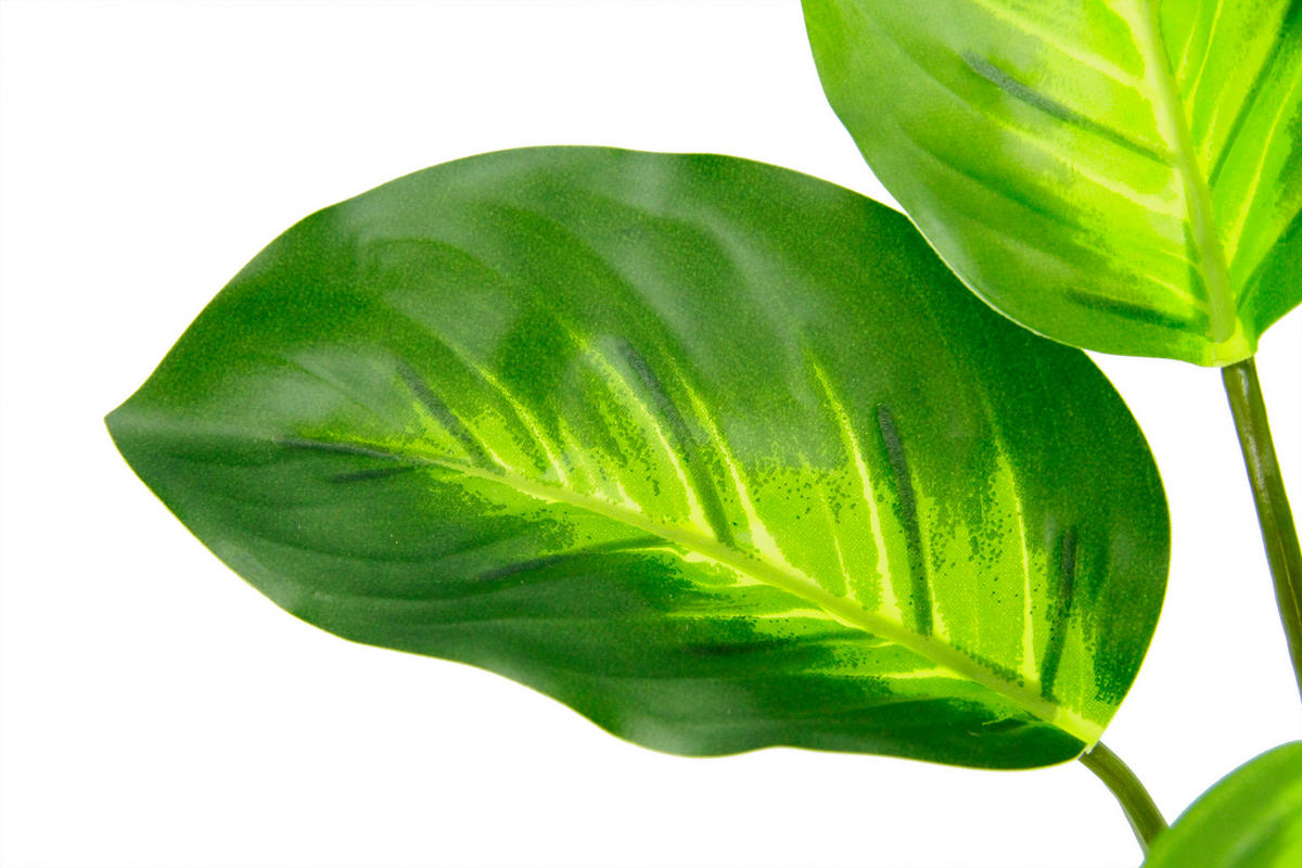 POTHOS  - Grün, Basics, Textil (22/25cm)