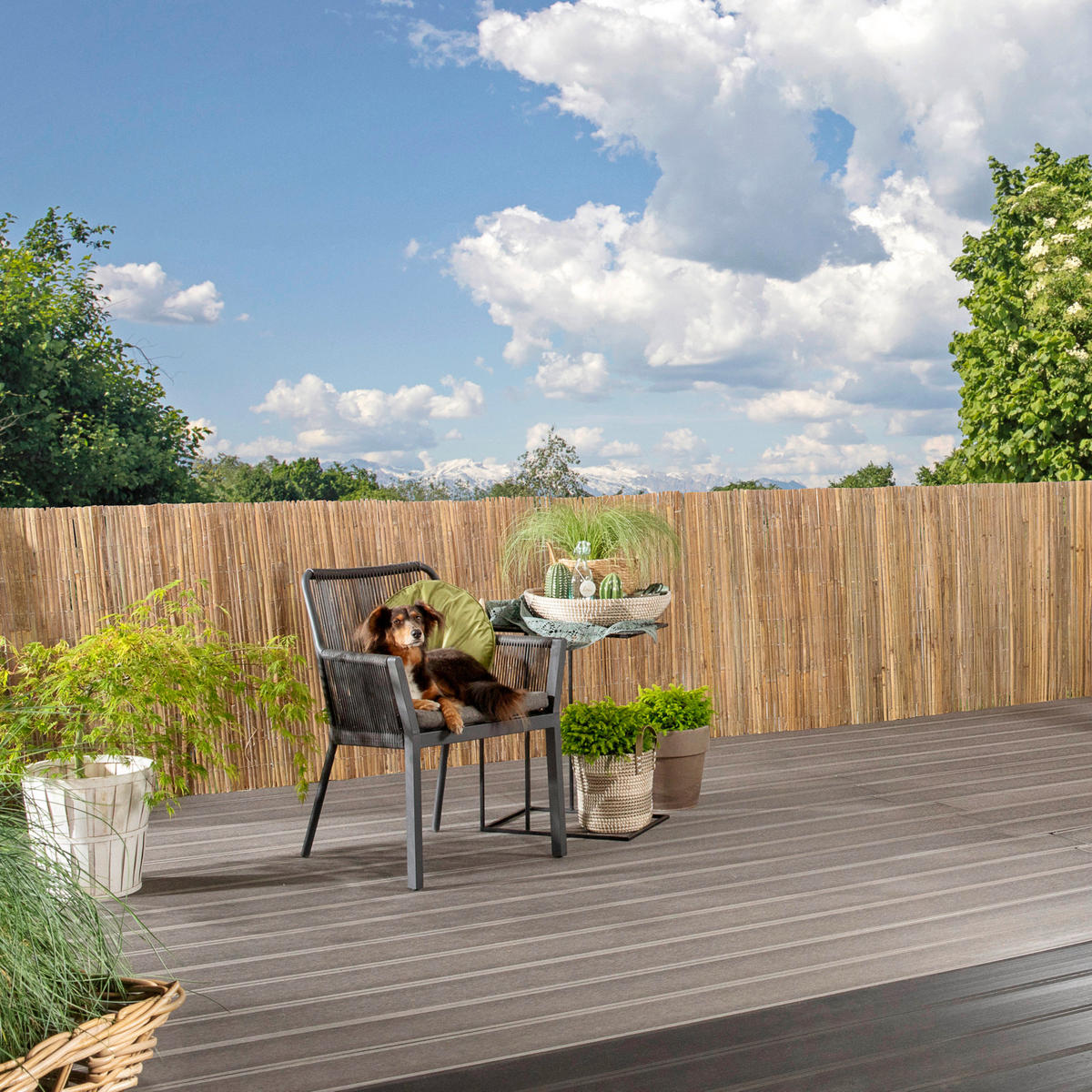 CLONA NA PLOT 90/300 cm  - přírodní barvy, Basics, přírodní materiály (90/300cm)