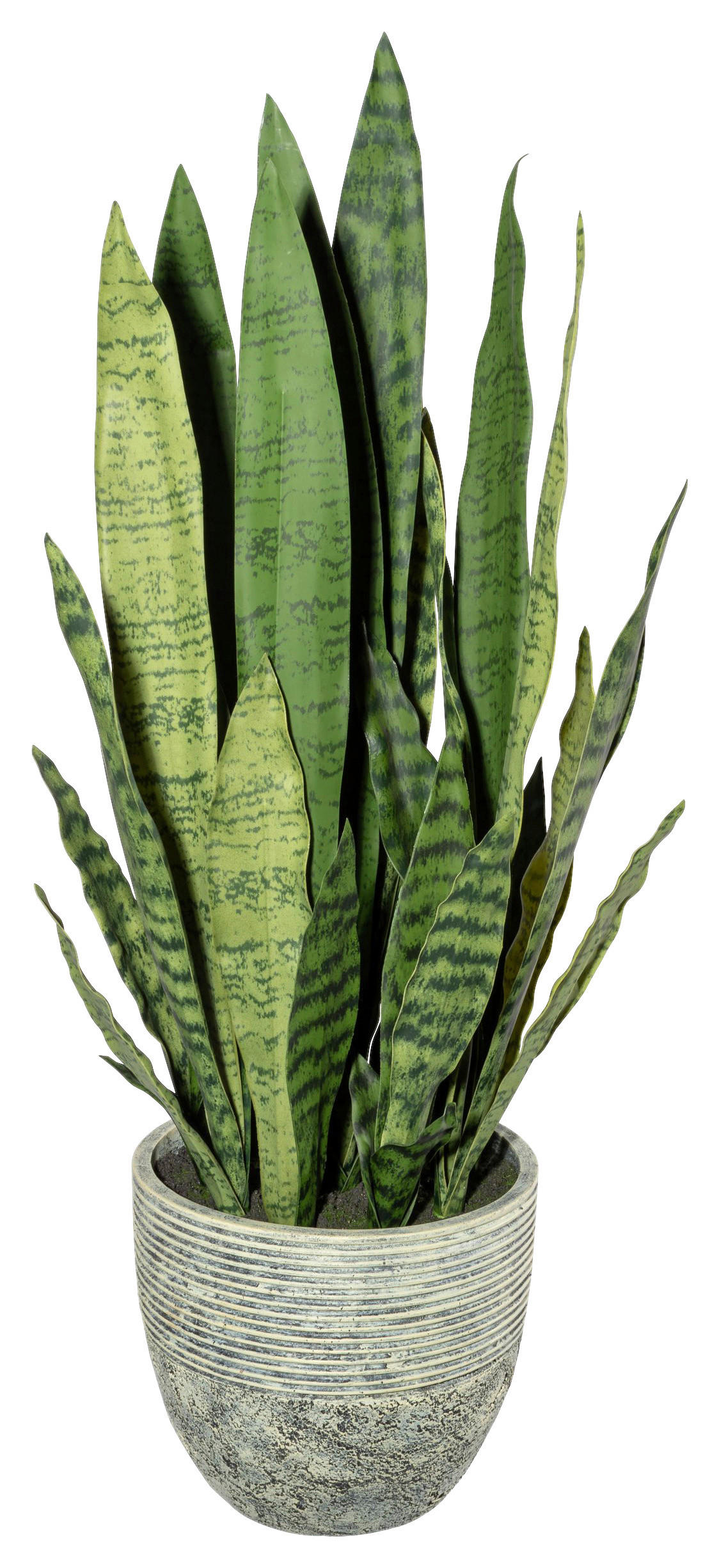 KUNSTPFLANZE Sukkulente 80 cm  - Gelb/Grau, Design, Kunststoff (80cm) - P & B