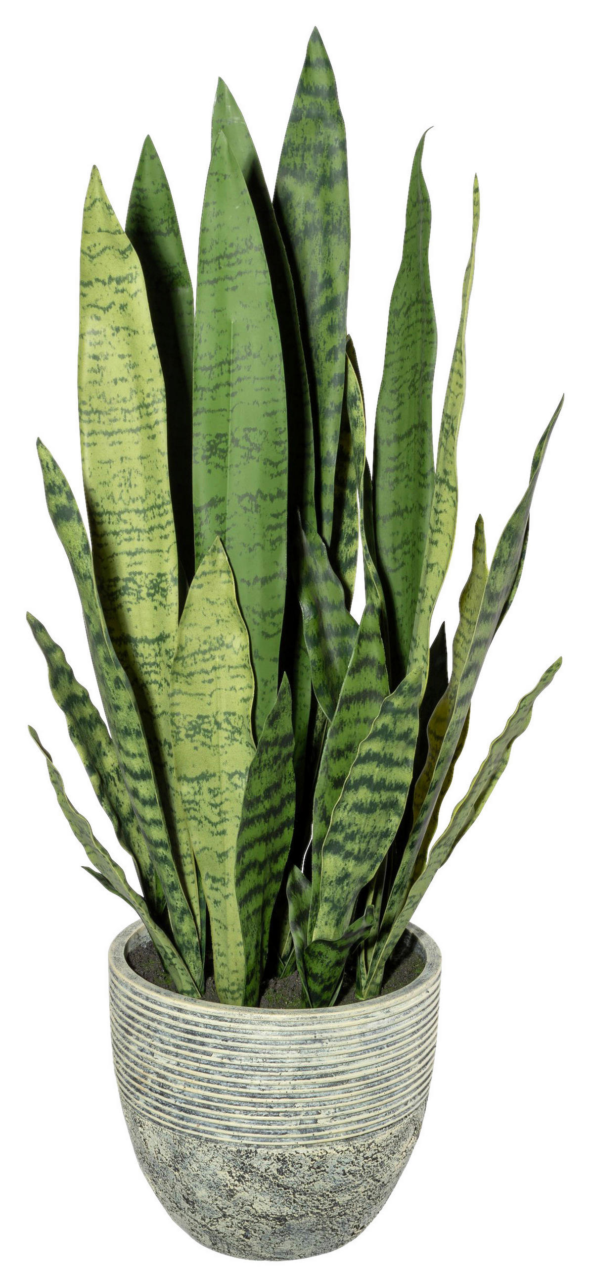 KUNSTPFLANZE Sukkulente 80 cm  - Gelb/Grau, Design, Kunststoff (80cm) - P & B