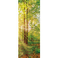 LEINWANDBILD Landschaft & Natur  - Multicolor, KONVENTIONELL, Holz/Papier (30/80/3cm) - Euroart