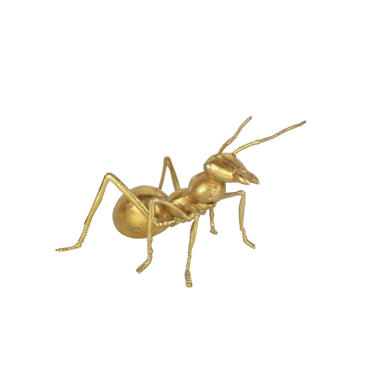 DEKOAMEISE - Goldfarben, LIFESTYLE, Kunststoff/Metall (19,3/12,5/12cm) - Ambia Home