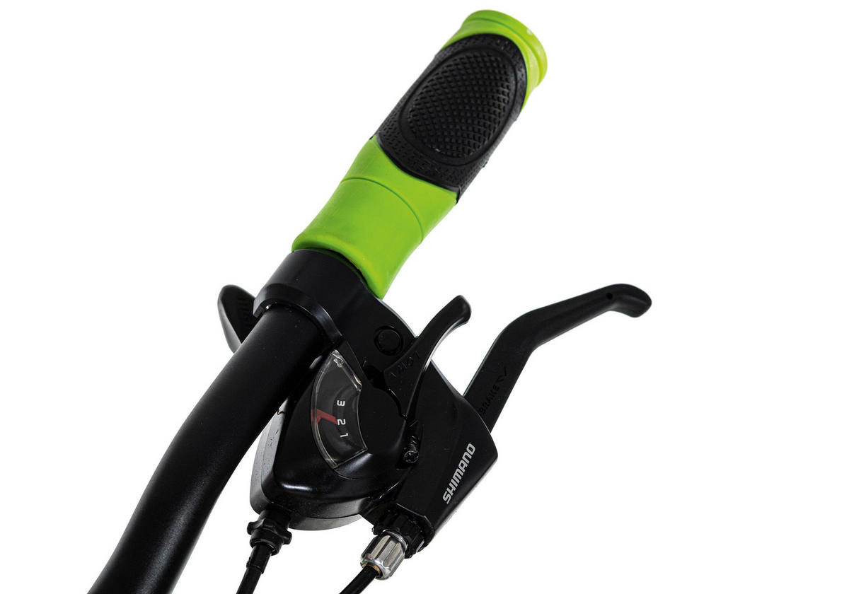 MOUNTAINBIKE 29 Zoll  - Schwarz/Grün, Basics, Metall (139/76/21cm) - Atrigo