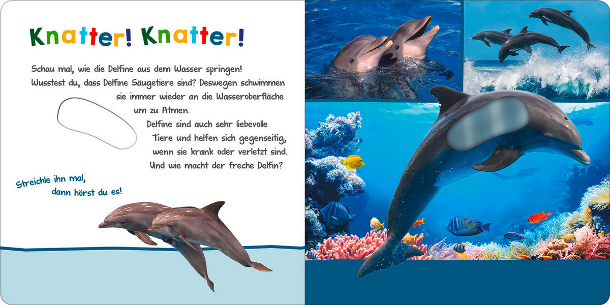 SOUND- UND FÜHLBUCH - Basics (19,7/19,7/1,8cm) - Carlsen