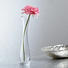 VASE 27 cm - Klar, Basics, Glas (5.5/27cm) - Leonardo VASE 27 cm - Klar, Basics, Glas (5.5/27cm) - Leonardo