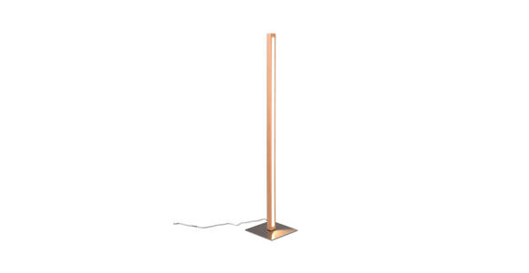 LED-STEHLEUCHTE 22/115 cm - Eichefarben, LIFESTYLE, Holz/Kunststoff (22/115cm) - Novel
