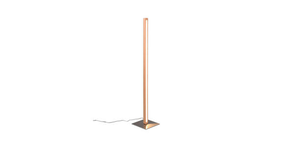 LED-STEHLEUCHTE 22/115 cm    - Eichefarben, LIFESTYLE, Holz/Kunststoff (22/115cm) - Novel