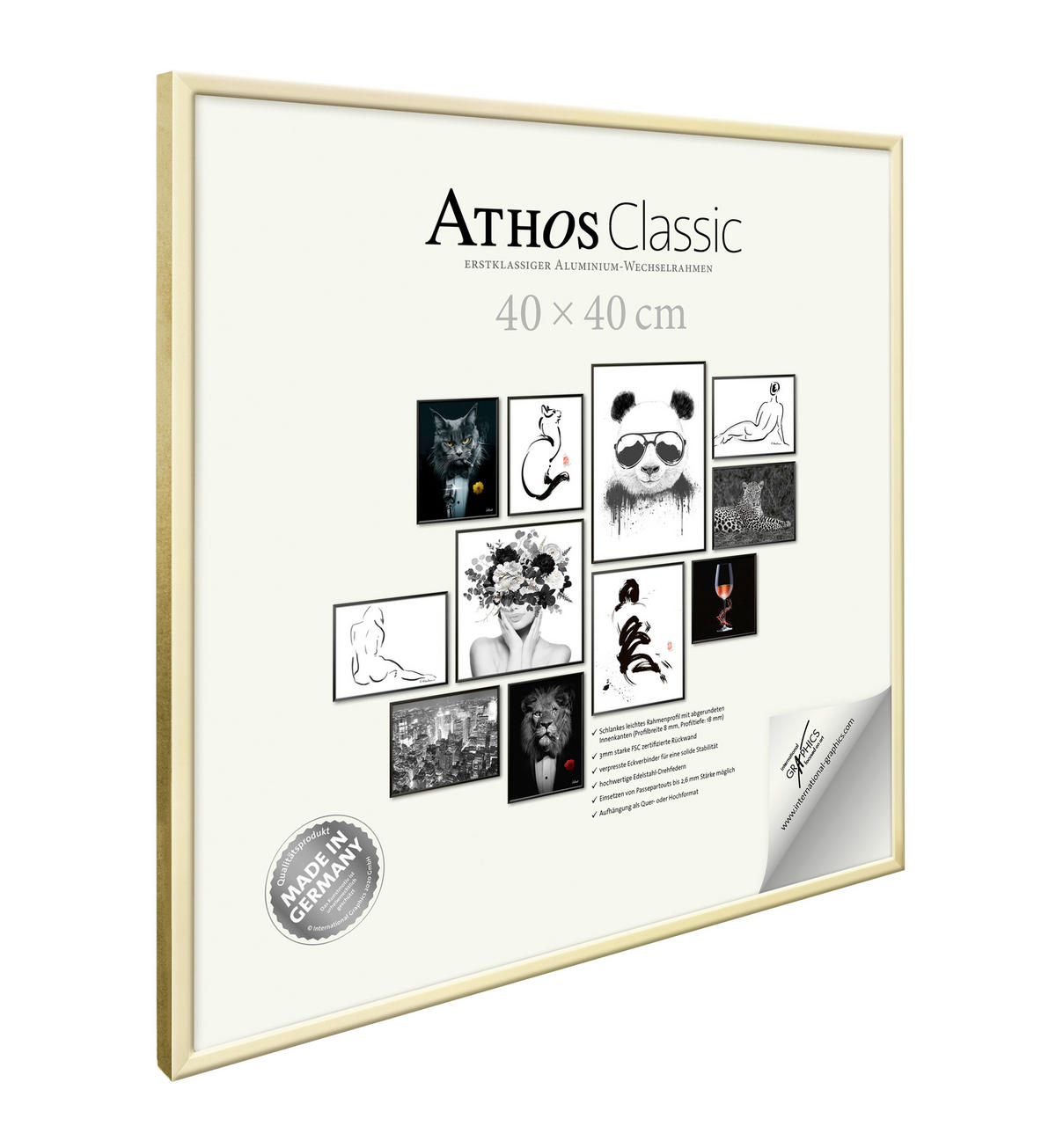 BILDERRAHMEN - Goldfarben, Basics, Papier/Holzwerkstoff (40/40/1,8cm)