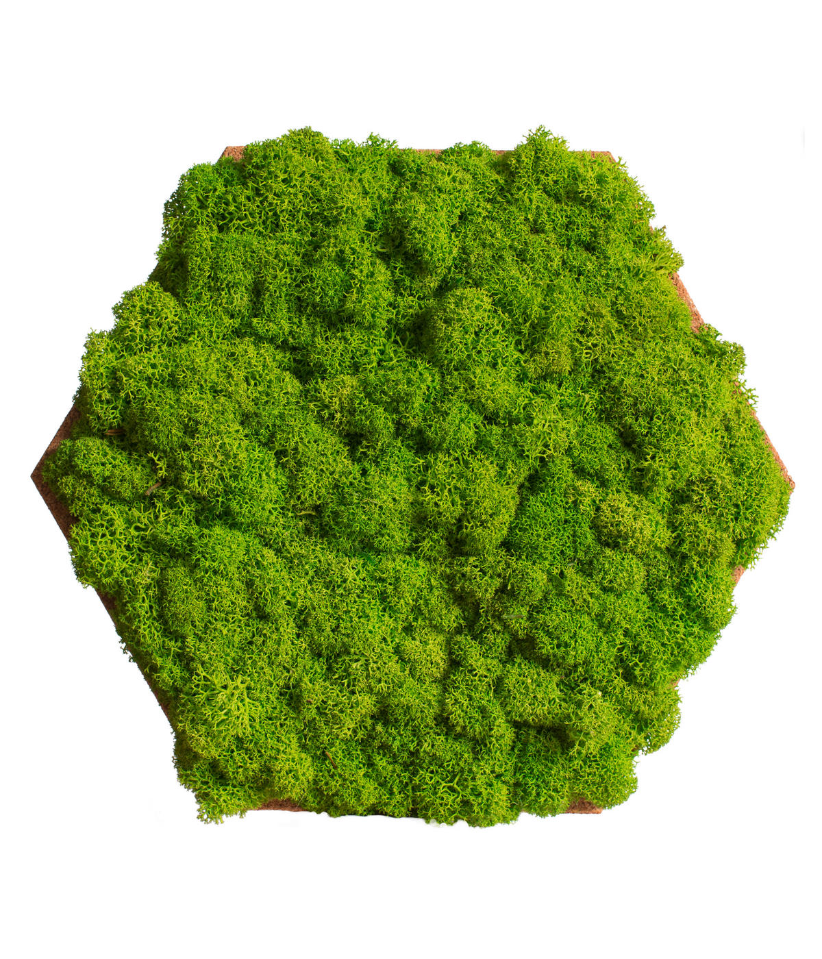 MOOSPANEEL Stylegreen  - Hellbraun/Grün, Basics, Naturmaterialien/Holz (19/22cm)