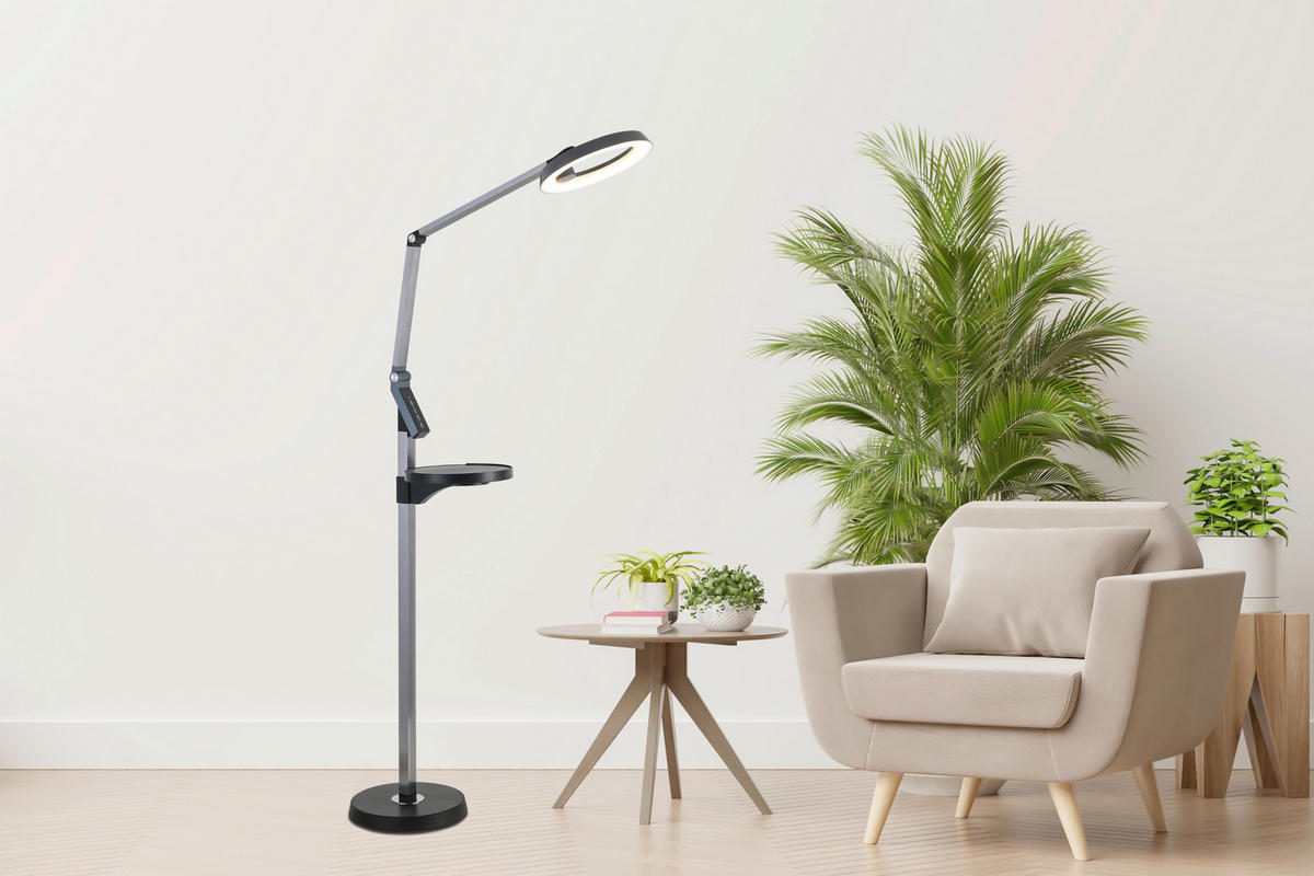 STOJACÍ LED SVÍTIDLO, 71/135 cm  - antracitová, Trend, kov/plast (71/135cm) - Novel