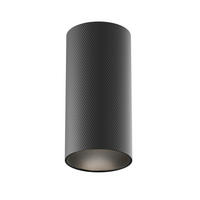 STROPNÉ SVIETIDLO, 5,4/10,8 cm  - čierna, Design, kov (5,4/10,8cm) - MAYTONI